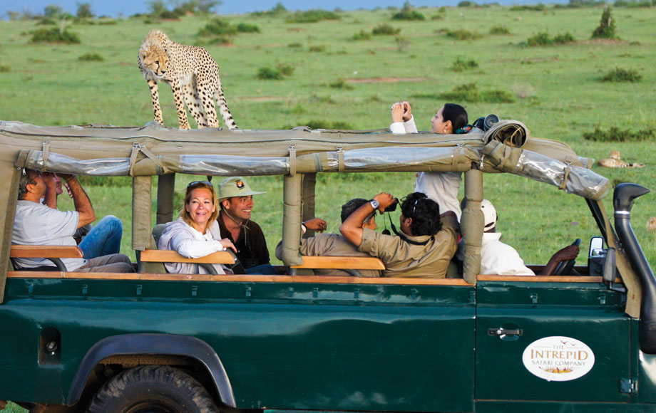 intrepid africa safari