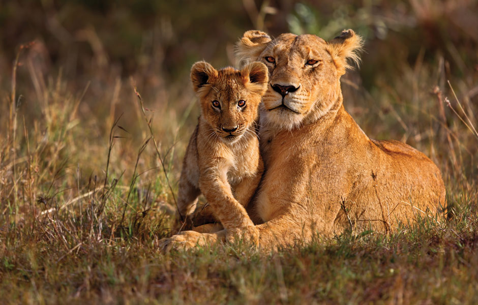 mara-plains2-03-17