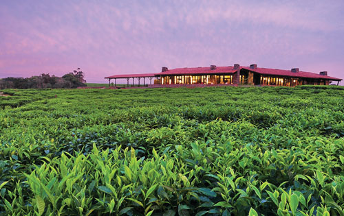 Nyungwe Forest Lodge