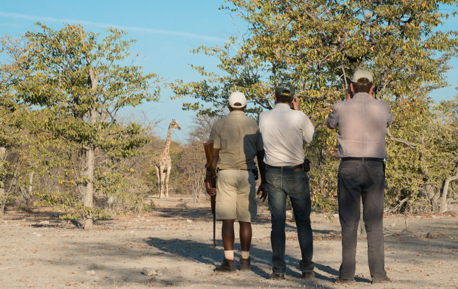 Ongava Tented Camp walking safari