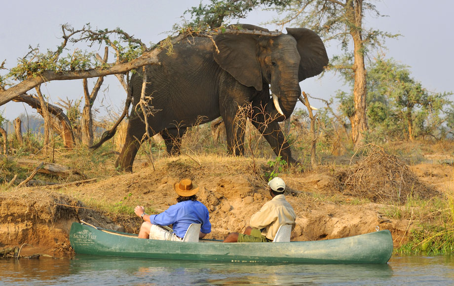 Canoeing next to Elephant