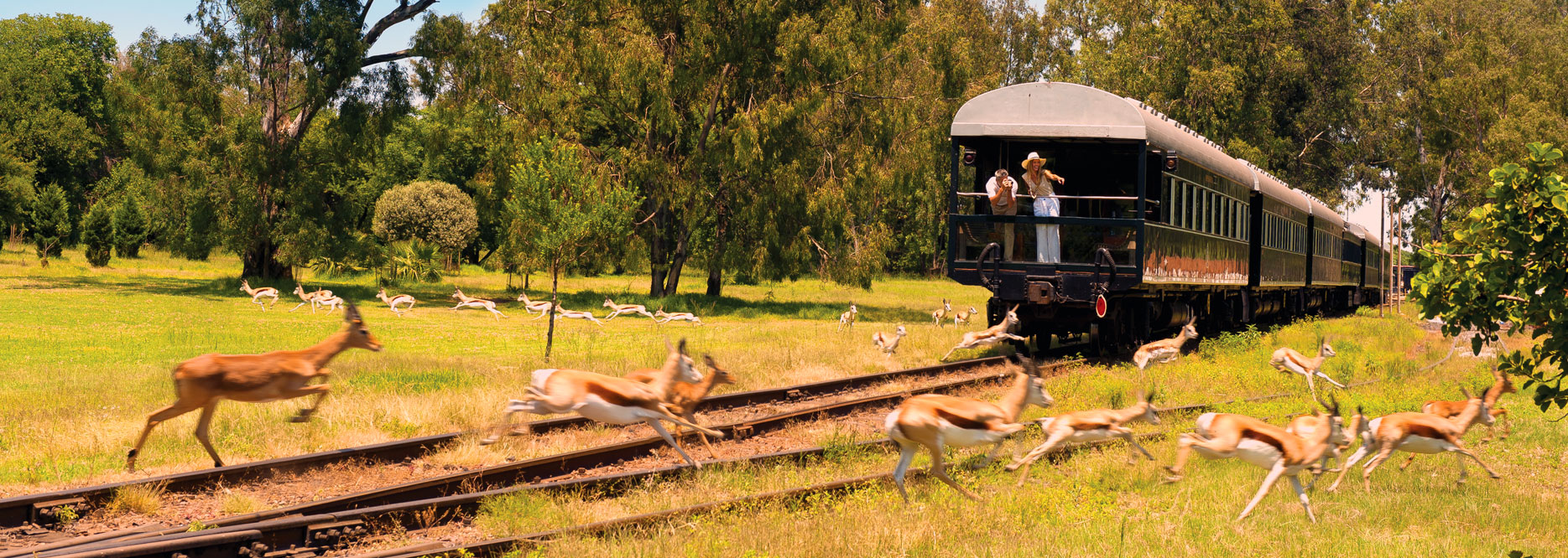 Rovos Rail South Africa Rovos Rail South Africa