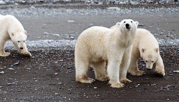 russian-far-east-across-the-top