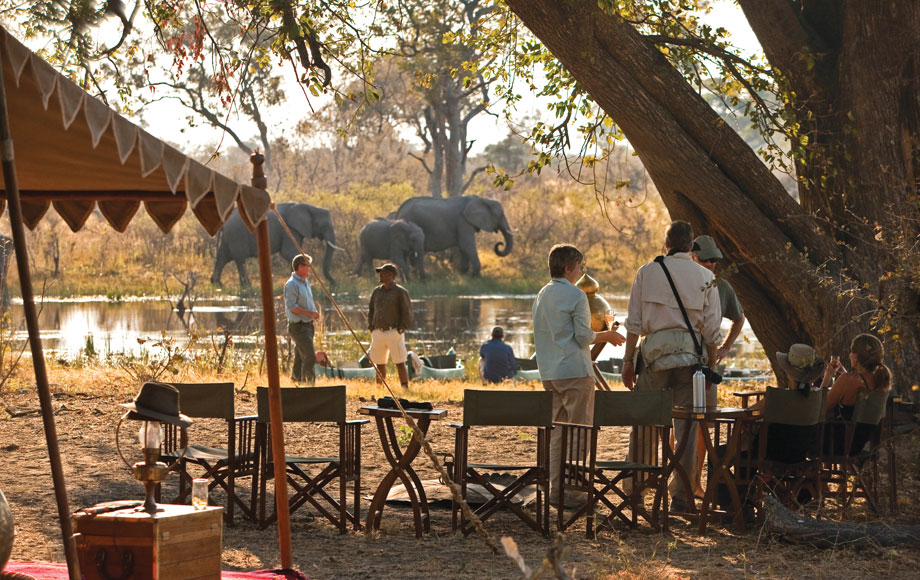Morning breakfast with elephants