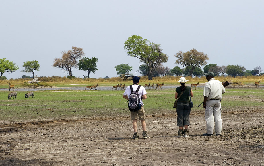 Walking Safari at Shinde Camp