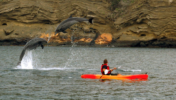 Galapagos Kayaking