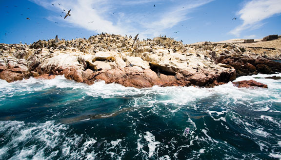 Argentinian Patagonia