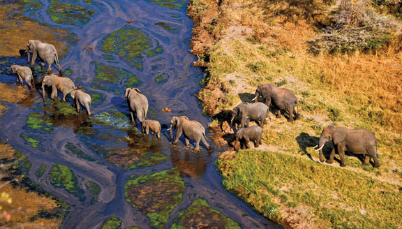 Tanzania Highlights-Tarangire