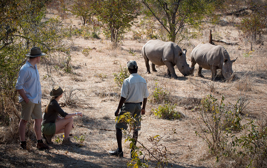 Walking Safari in Zambia