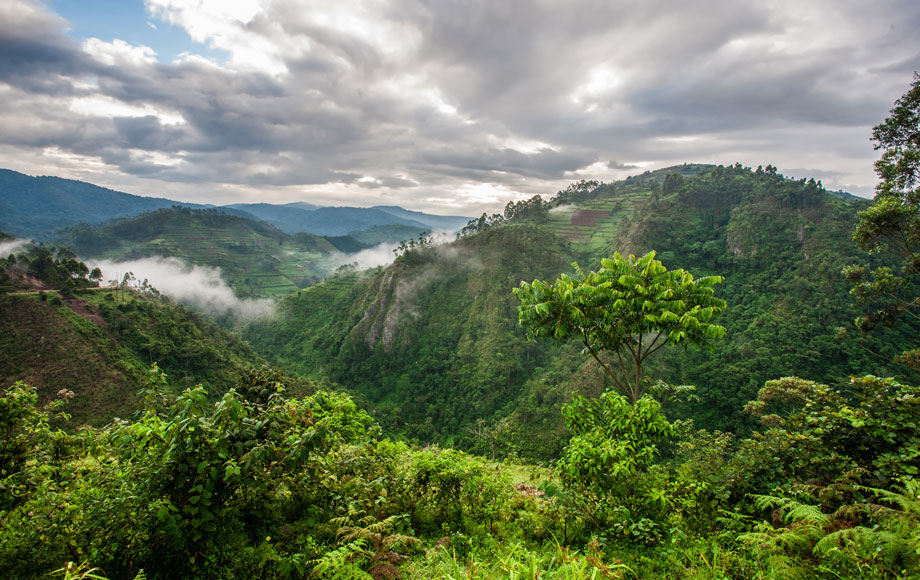 Uganda Countryside