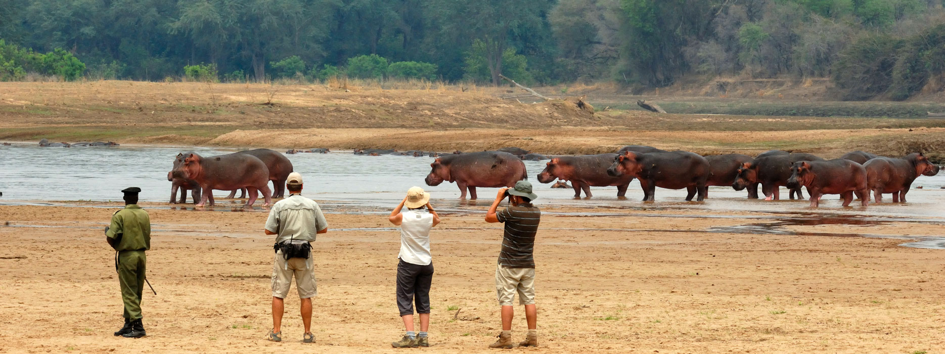 Walking Safari in Africa