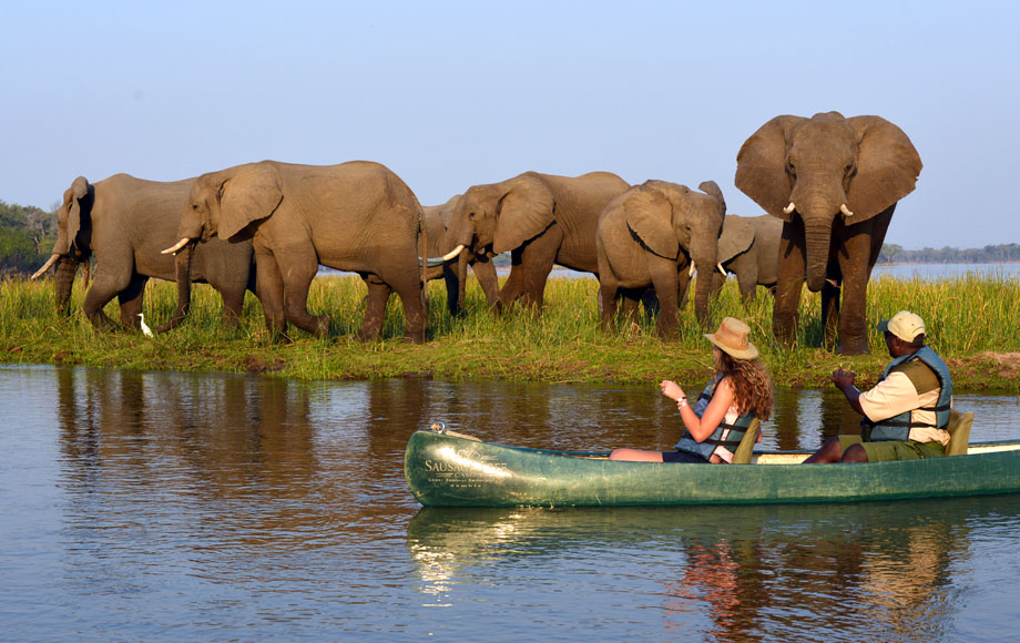 safaris en zambia