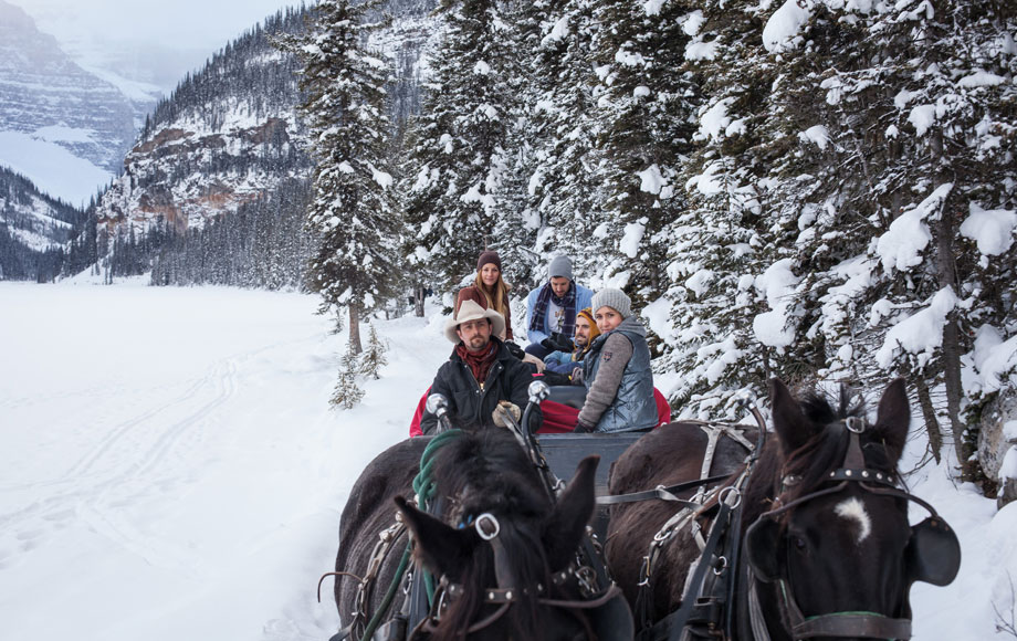 Horse and Carriage in the Rocky Mountains