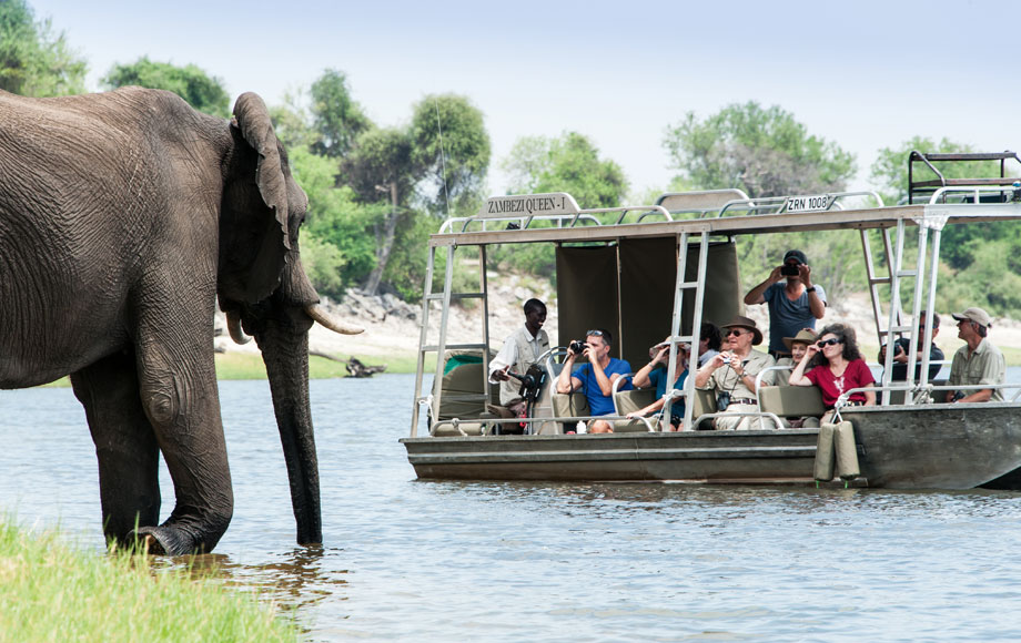 Elephant encounter on the Chobe River