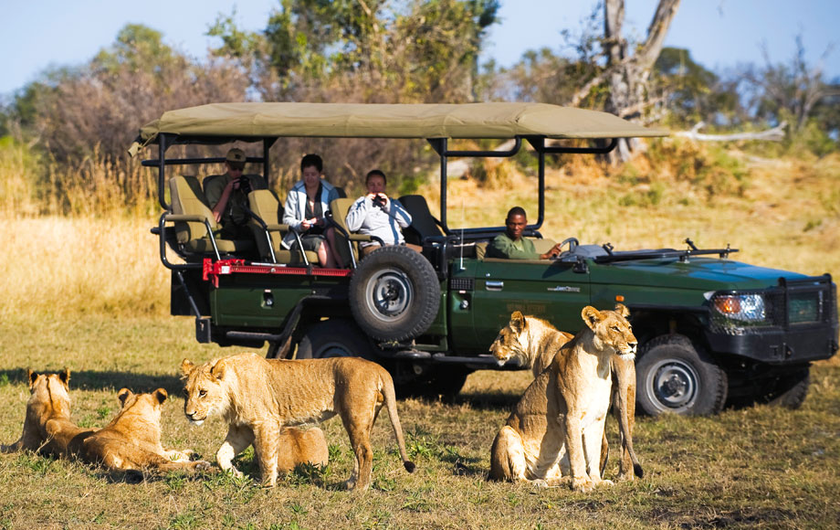Botswana: What makes the world's most expensive safaris so special