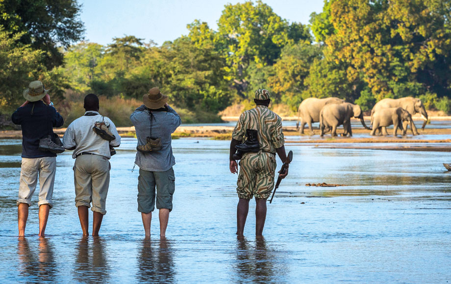 Walking Safari at Zungulila Bushcamp on the Kapamba River